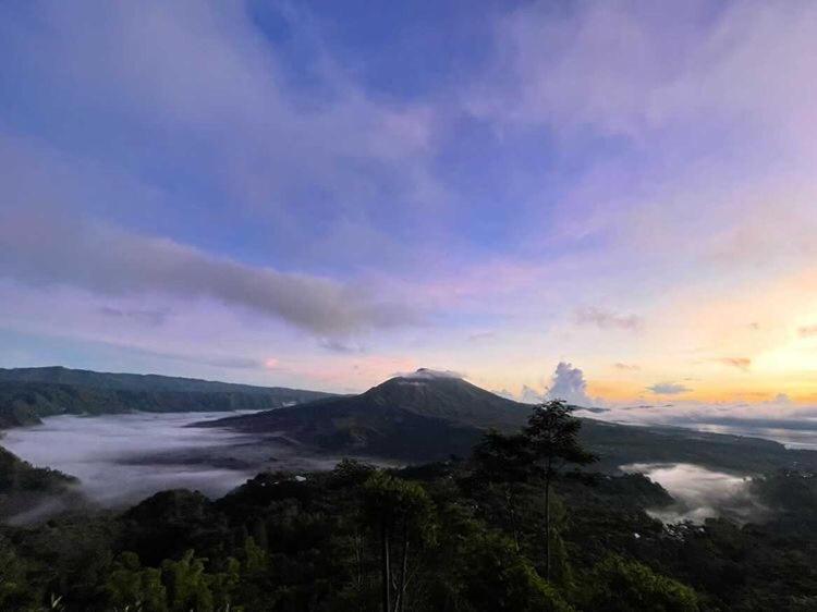 Tukadsari Camping Kintamani エクステリア 写真